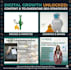do complete monthly SEO service for top google ranking