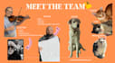 create fun, authentic, conversational ugc videos