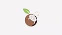 design professional logo and favicon