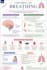 professional study notes, mind maps and revision guides