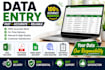 provide 100 accurate data entry services with quick delivery