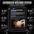 setup a professional custom discord server