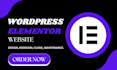 elementor website, wordpress elementor website design, redesign