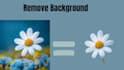 cutout your background photo