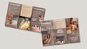 design professional flyer, brochure and post card