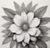 do a botanical illustration