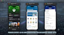 develop expert flutter and react native mobile applications