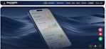 build a fast responsive business website