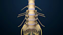 create professional 3d spine surgery orthopedic and medical animation