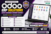 provide professional odoo implementation and customization
