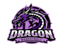create dragon mascot logo design with unlimited review