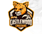 design cheetah mascot logo design with 1 day delivery