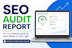 manually audit your website SEO and provide a complete growth strategy