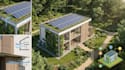 create stunning sustainable architecture visualizations and eco renders