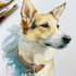 draw watercolor pet portrait