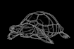draw illustration continuous line art from your pet
