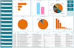 create professional HR analytics dashboards