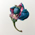 do a botanical illustration