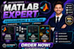 do matlab programming, simulink modelling, and custom gui design