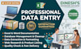 do professional data entry, excel and administrative support