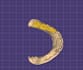 design professional dental cad cases using exocad