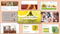 design powerpoint presentations and infographics