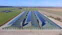 design 3d poultry farm, chicken house, hatchery, farm layout