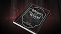 create a cinematic book promo trailer video