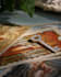 provide tarot guidance for life purpose and important decisions