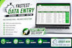 provide professional microsoft excel services