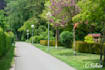 deliver high quality photography