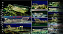 designing specialized architectural projects