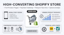 build a professional shopify dropshipping store with winning products