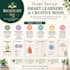 create educational infographics for students
