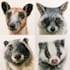 illustrate animals with watercolour