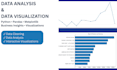 analyze, clean and visualize your data using python, sql and excel