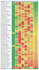 do expert data analysis and custom excel dashboard