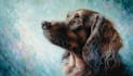 paint stunning pet portrait