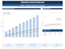 do professional financial feasibility study with dcf irr and projections