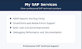 provide sap abap development and technical support