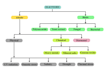 create educational flowcharts and scientific illustrations