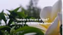 create beautiful quote posts using canva and photography