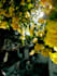 edit photos adobe lightroom and picsart