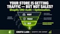 audit and optimize your shopify store to boost sales