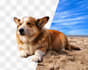 expertly remove complex backgrounds, objects, and people