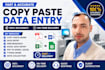do fast copy paste, web research and data entry work