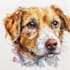 draw watercolor pet portrait