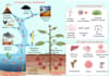 create publication quality scientific figures and graphical abstracts