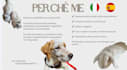 create italian ugc videos for your brand