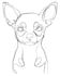 draw a custom minimalist pet line art illustration